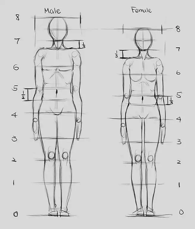 Gambar anatomi manusia dengan gaya ilmiah