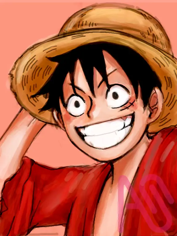 Ilustrasi Luffy dari One Piece