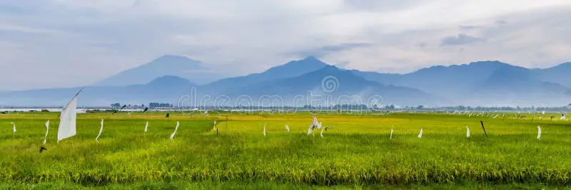 Pemandangan alam Jawa Tengah dengan bandara di latar belakang