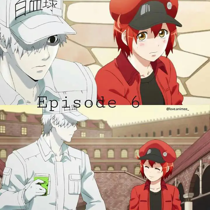 Adegan anime Hataraku Saibou yang menarik