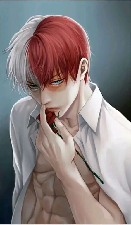 Gambar fanart Shoto Todoroki