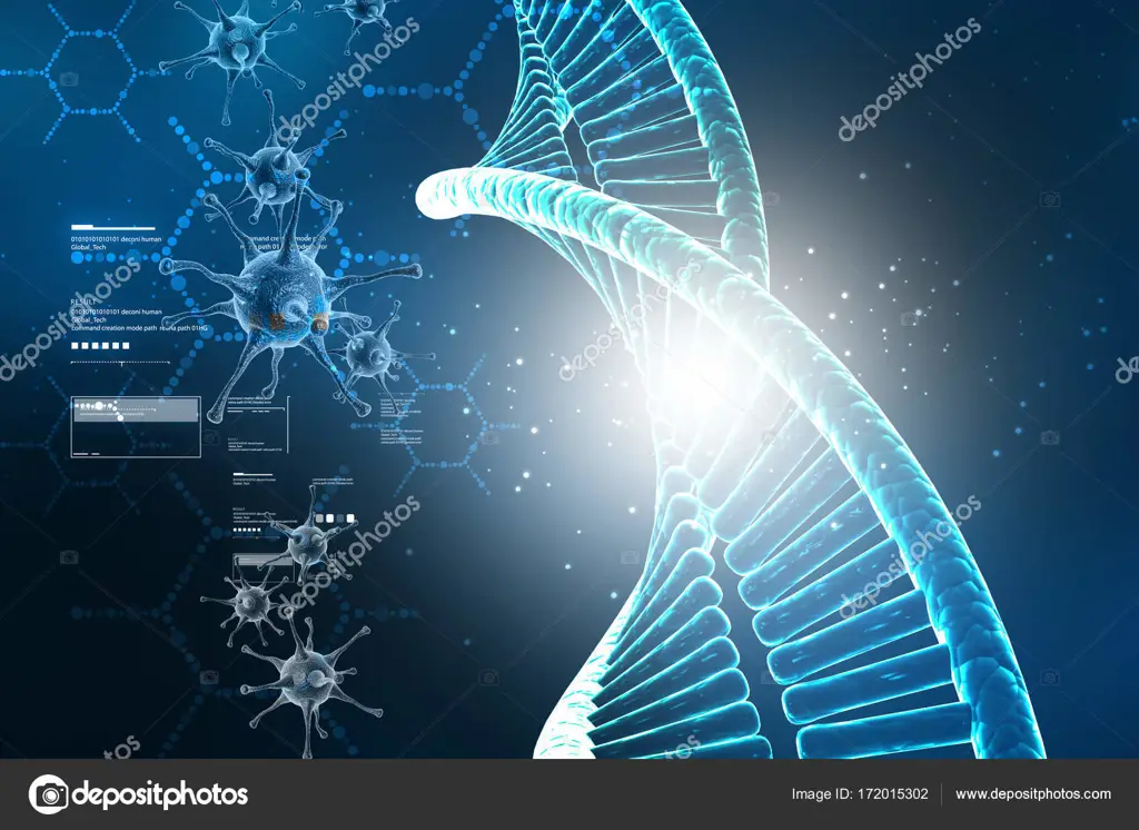 Struktur DNA hewan