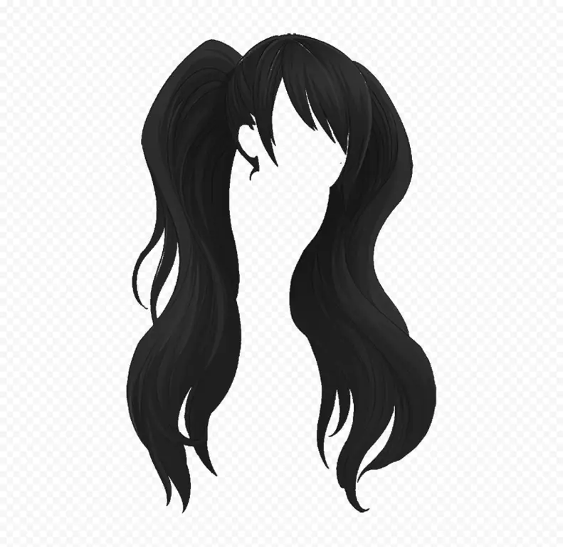 Berbagai gaya rambut hitam dalam anime