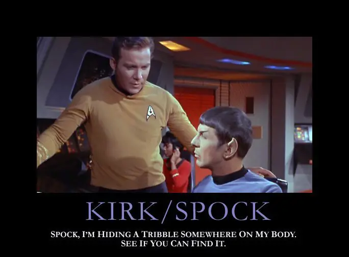 Gambar Spock dan Kirk