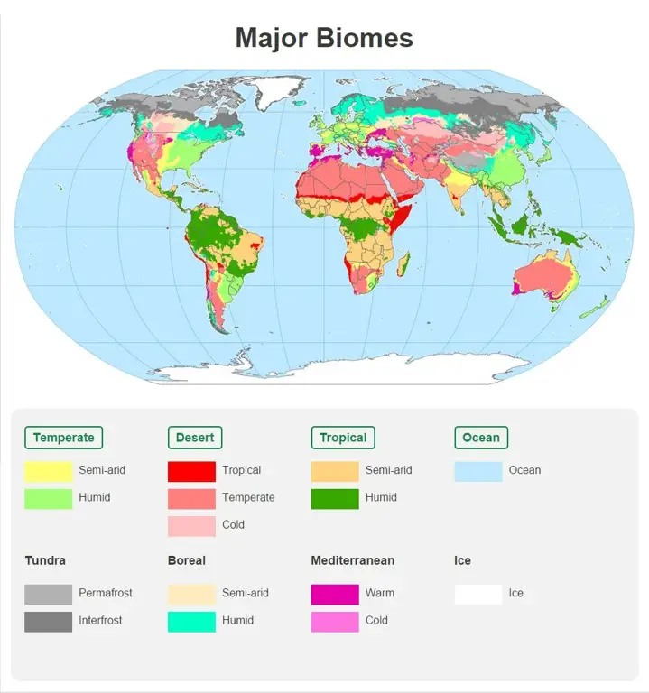 Berbagai jenis biomeat yang tersedia