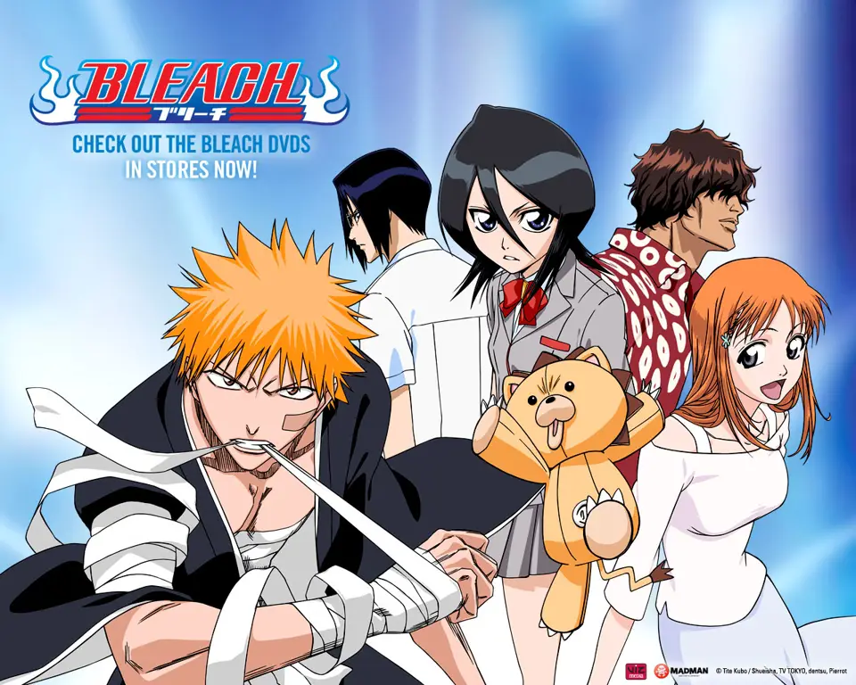 Gambar karakter-karakter utama dalam anime Bleach