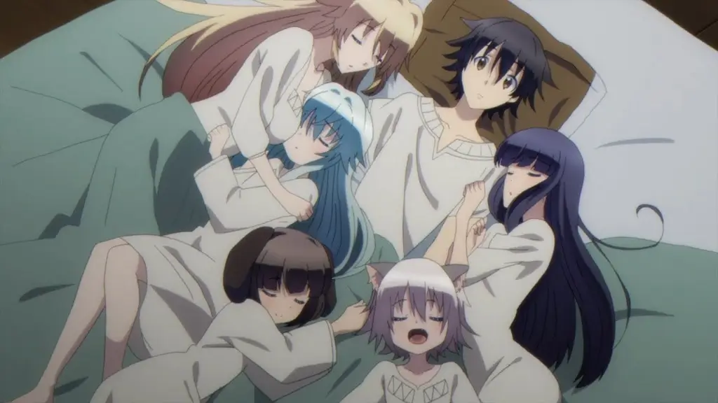 Karakter-karakter dalam anime harem Berbagai karakter anime harem yang menarik