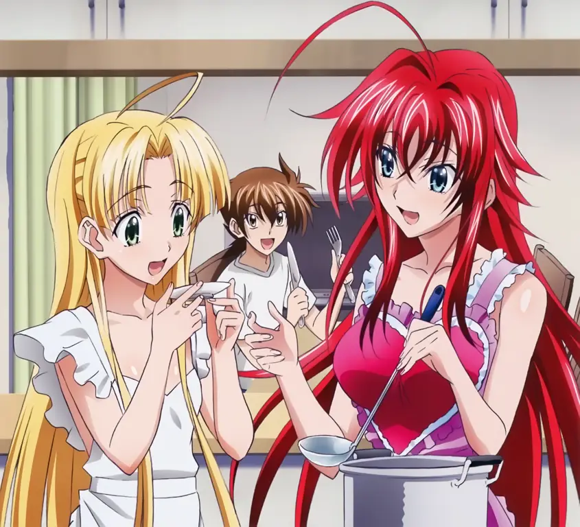 Gambar karakter-karakter utama High School DxD