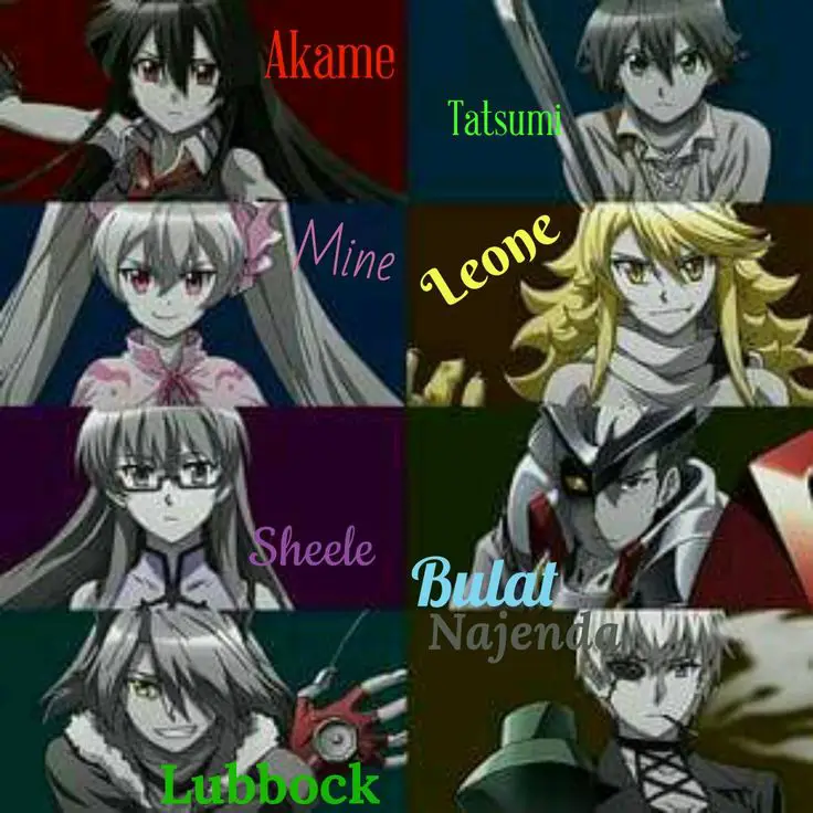 Gambar karakter-karakter utama dalam manga Akame ga Kill