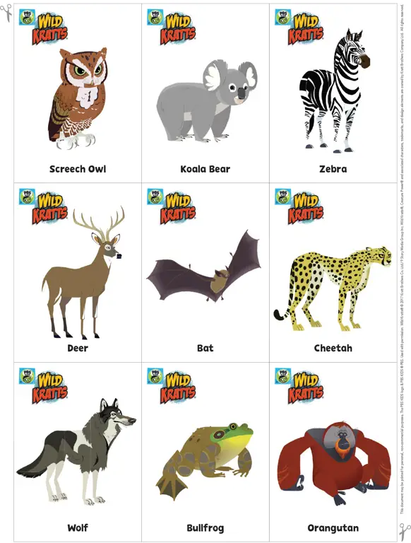 Gambar karakter Wild Kratts