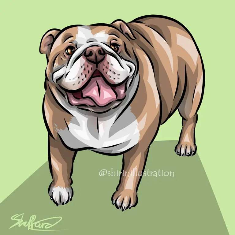 Gambar kartun bulldog yang lucu