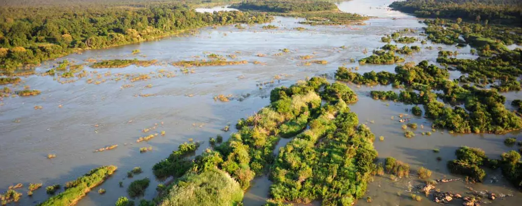 Keanekaragaman hayati Sungai Mekong