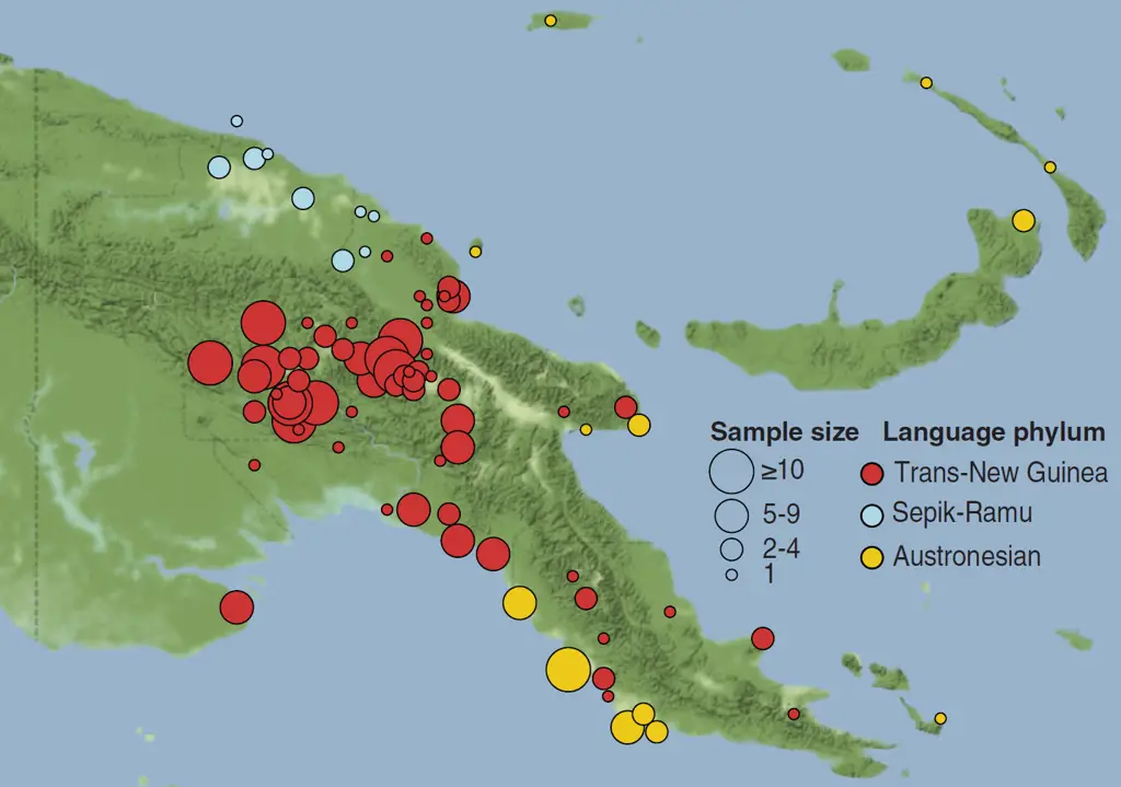 Beragam jenis lintah yang ditemukan di Papua