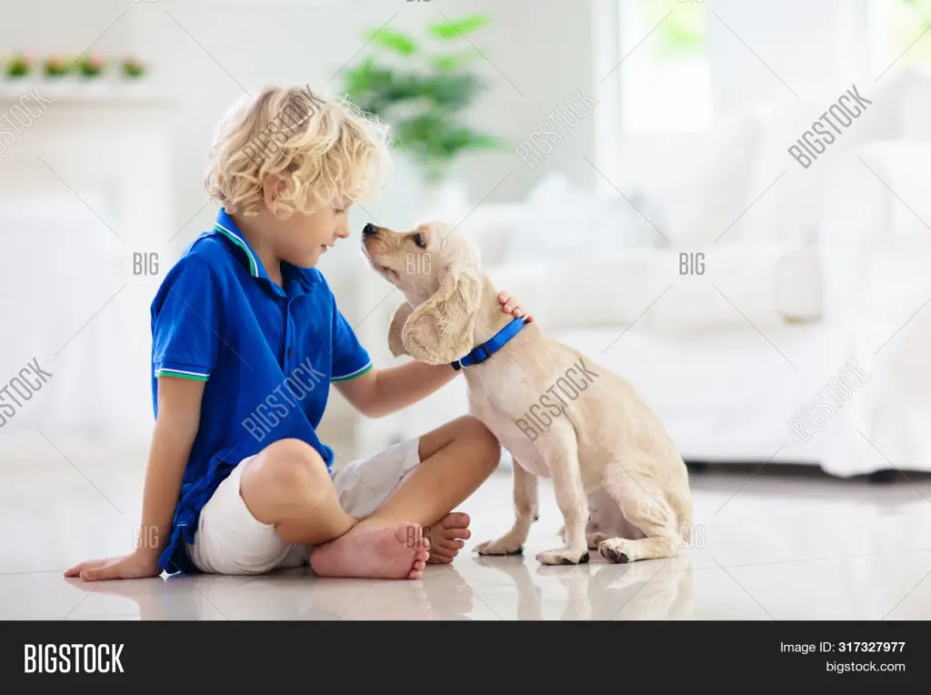 Anak-anak bermain dengan anjing