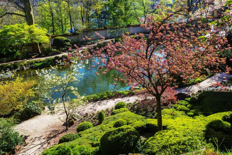 Taman Jepang saat matahari terbenam