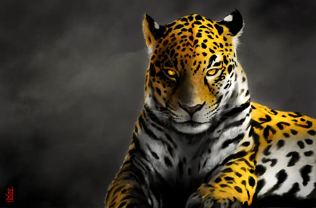 Wallpaper jaguar HD