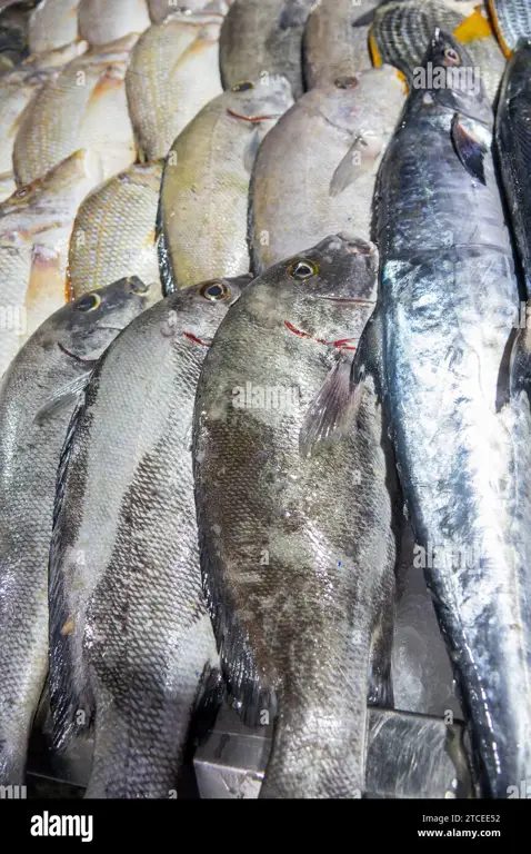 Pemandangan pasar ikan Bandar Kerang yang ramai dan semarak