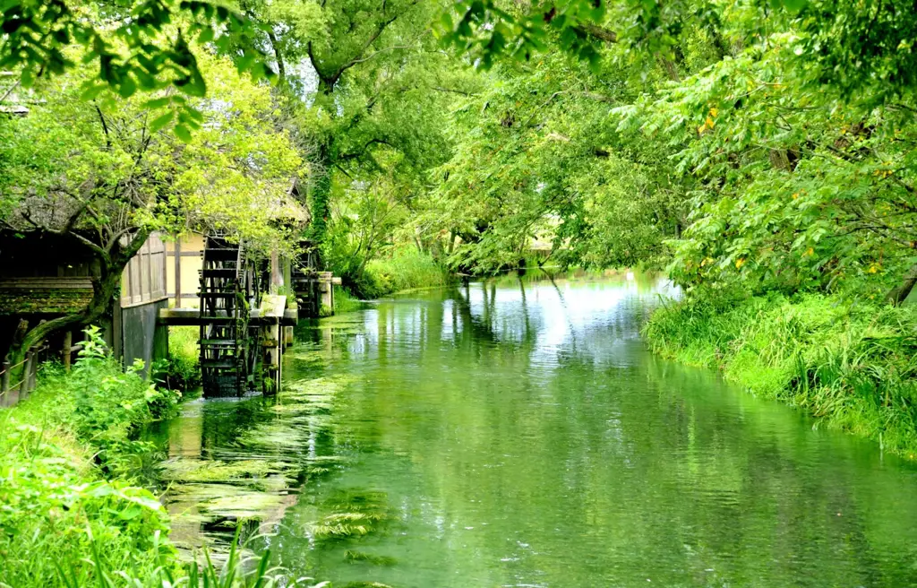 Pemandangan pedesaan Jepang