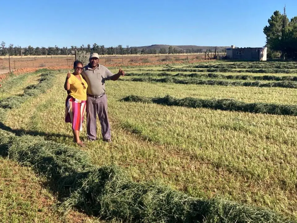 Petani sedang bekerja di ladang