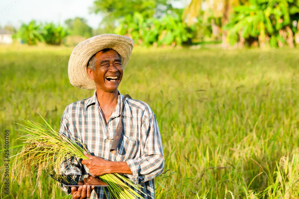 Petani sedang bekerja di ladang