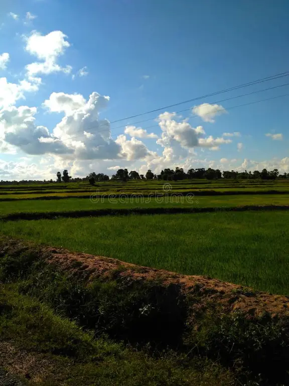 Pemandangan desa yang damai