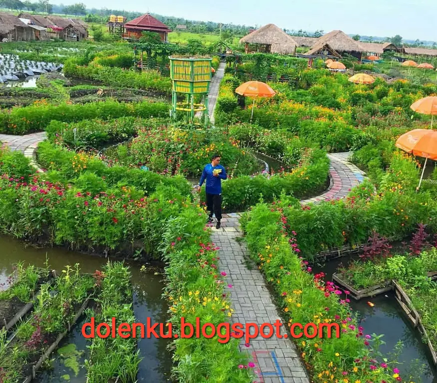 Pemandangan alam di Bandar Kedung Mulyo