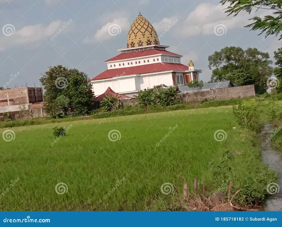 Pemandangan Sawah di Bandar Kidul Kediri