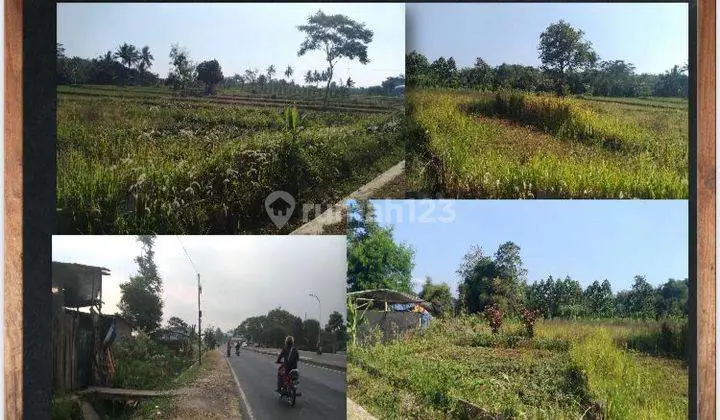 Pemandangan alam di Kecamatan Bandar Petalangan