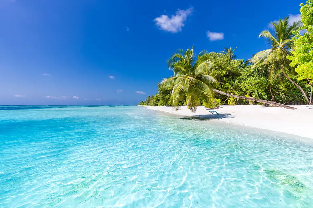 Pemandangan pantai tropis yang indah