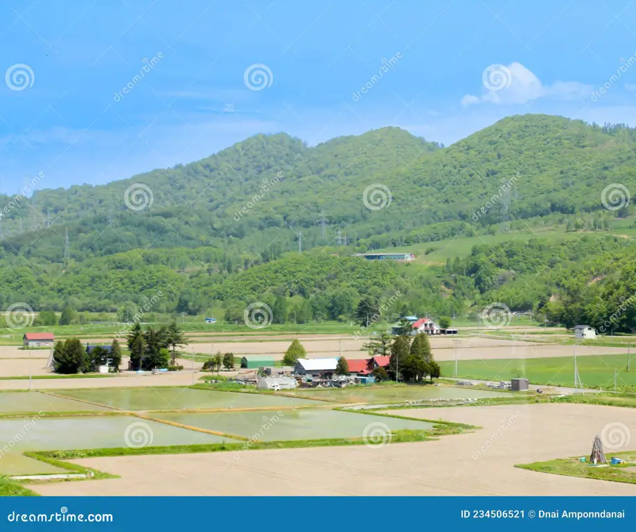 Pemandangan pedesaan Jepang yang tenang dengan sawah dan pegunungan