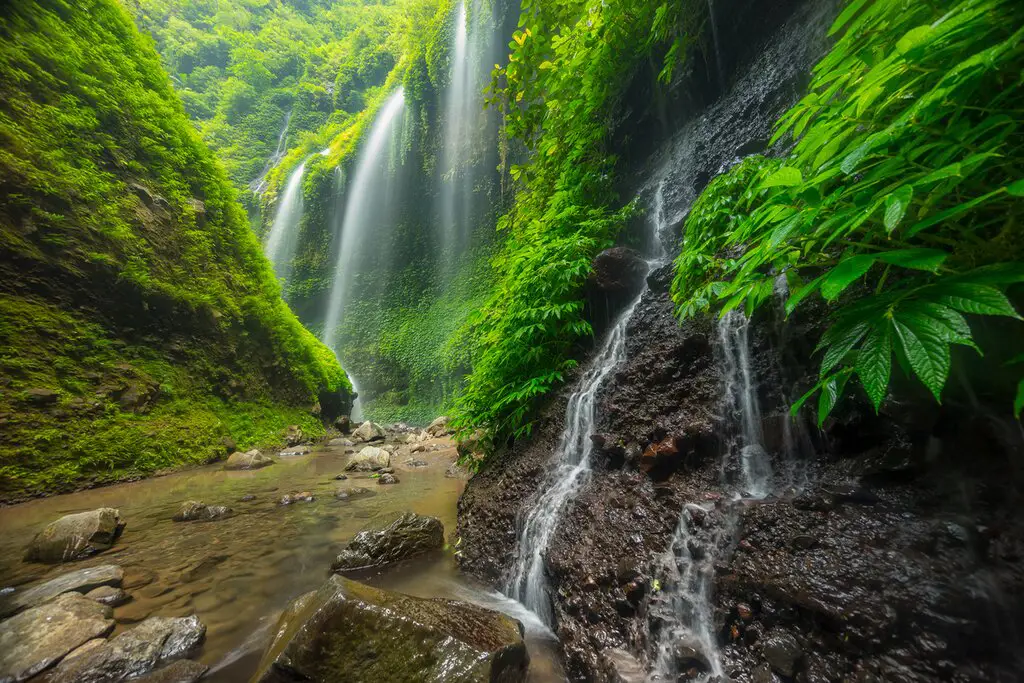 Pemandangan budaya Indonesia