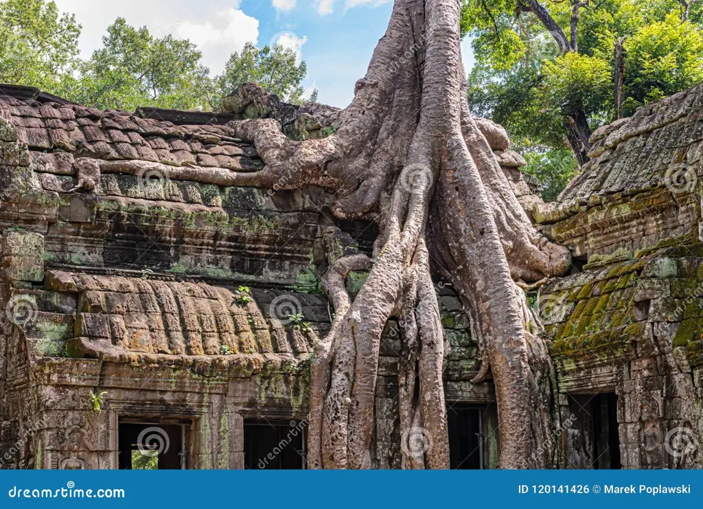 Candi Ta Prohm yang ditumbuhi pepohonan