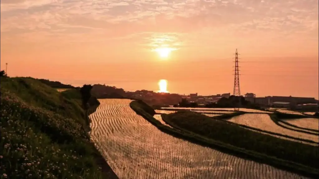 Pemandangan pedesaan Jepang yang indah dan menenangkan
