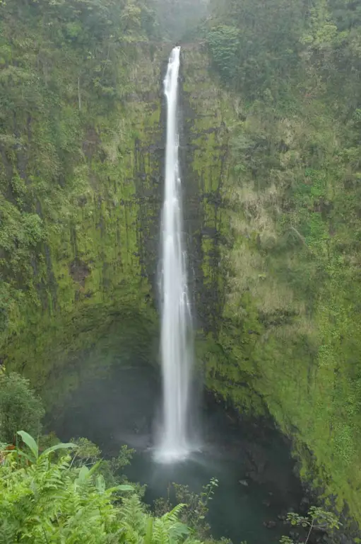 Pemandangan indah Hawaii menjadi latar belakang cerita