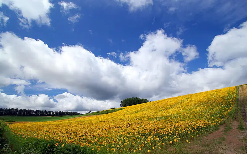 Pemandangan indah Hokkaido, Jepang