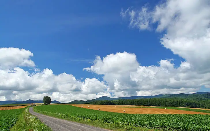 Pemandangan indah Hokkaido