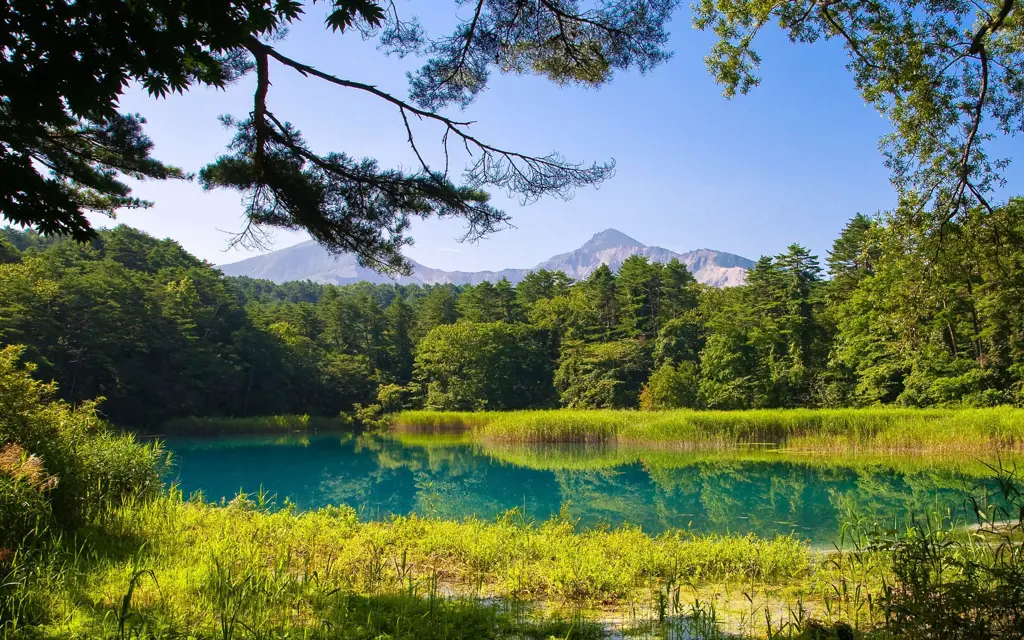 Pemandangan musim panas di Jepang yang indah