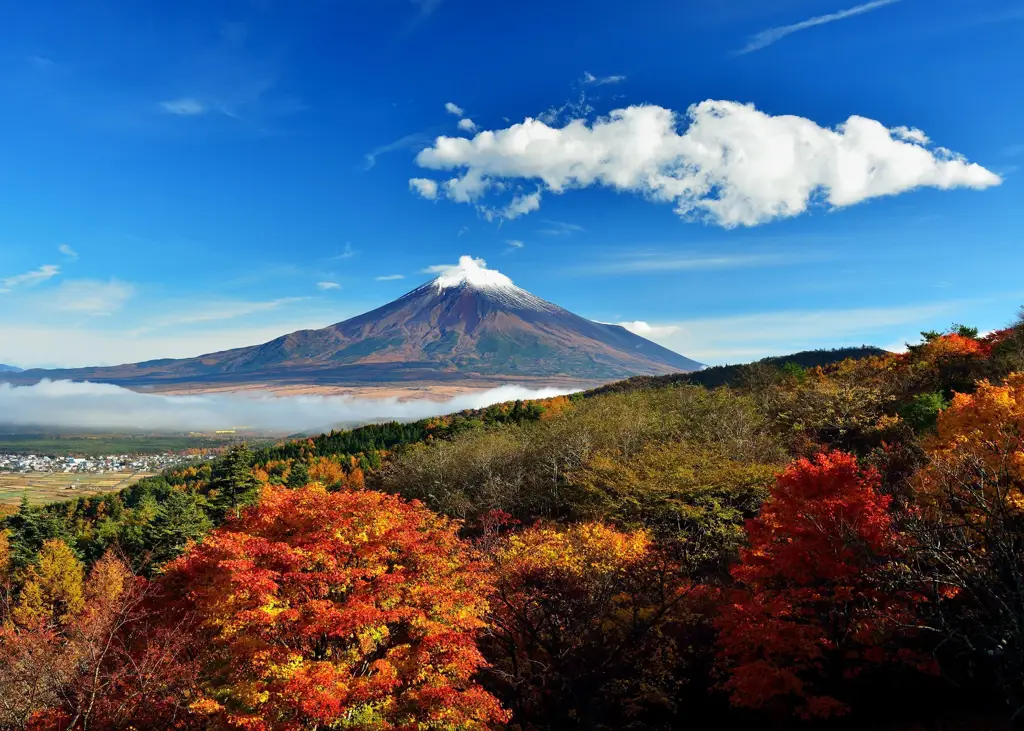 Pemandangan alam Jepang yang indah