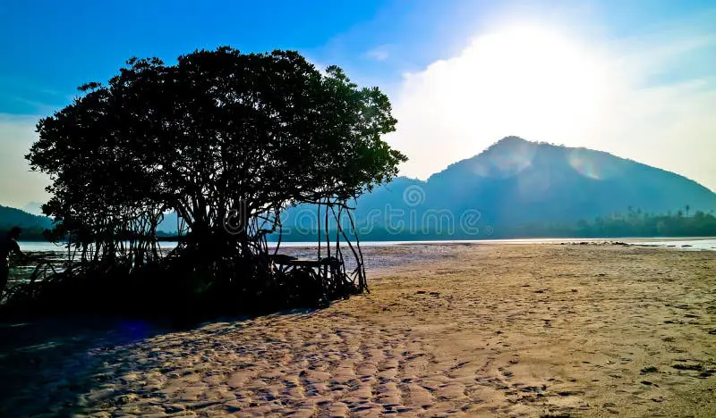 Pemandangan indah di Kaliawi Bandar Lampung