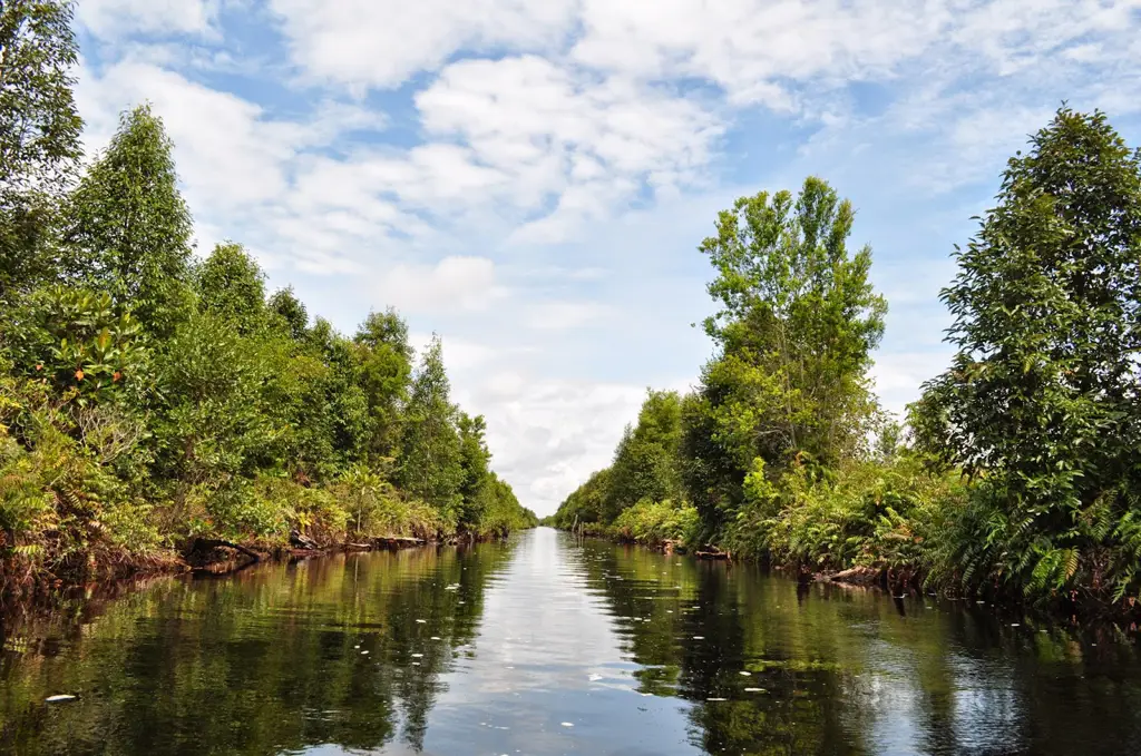 Pemandangan alam Kalimantan Tengah yang indah