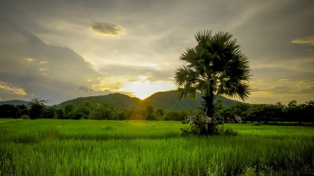 Gambar pemandangan alam Kamboja