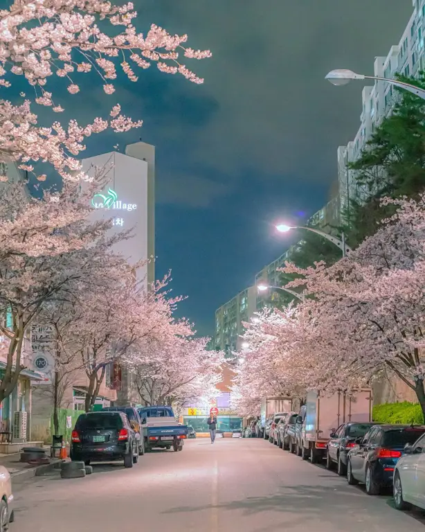 Pemandangan indah di Korea Selatan