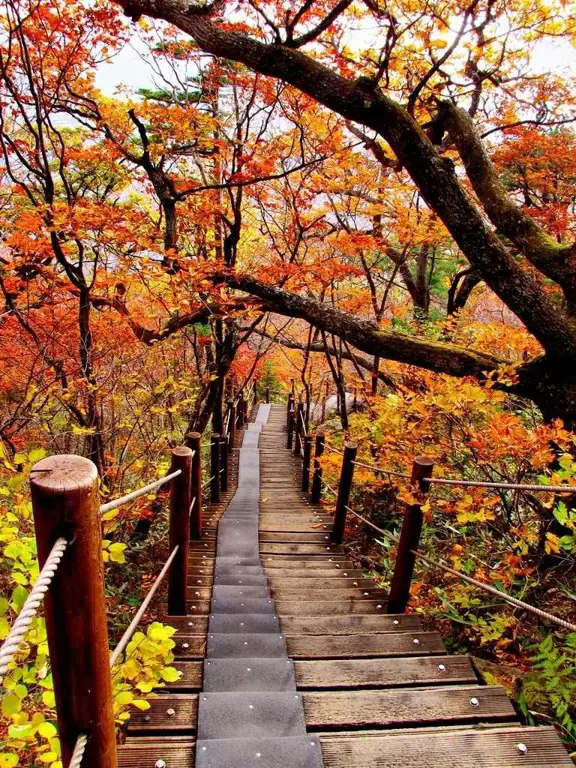 Pemandangan indah Korea Selatan di Autumn in My Heart