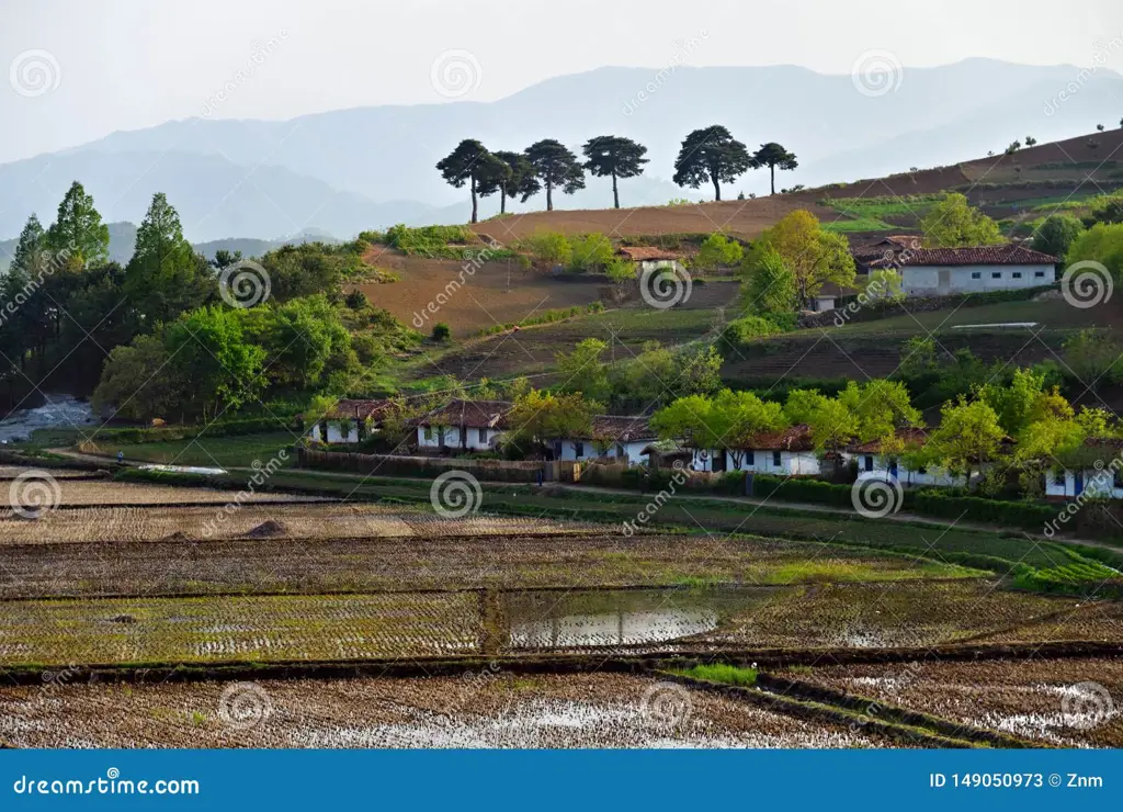 Pemandangan pedesaan Korea