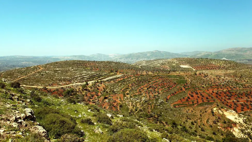 Pemandangan alam Palestina