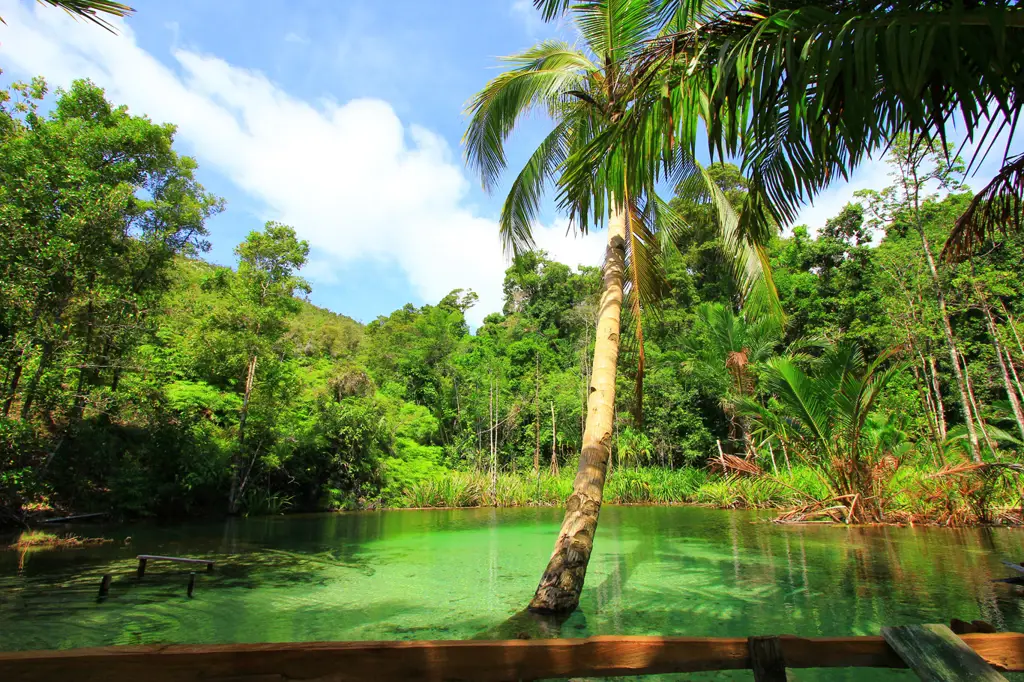 Pemandangan alam Papua yang indah