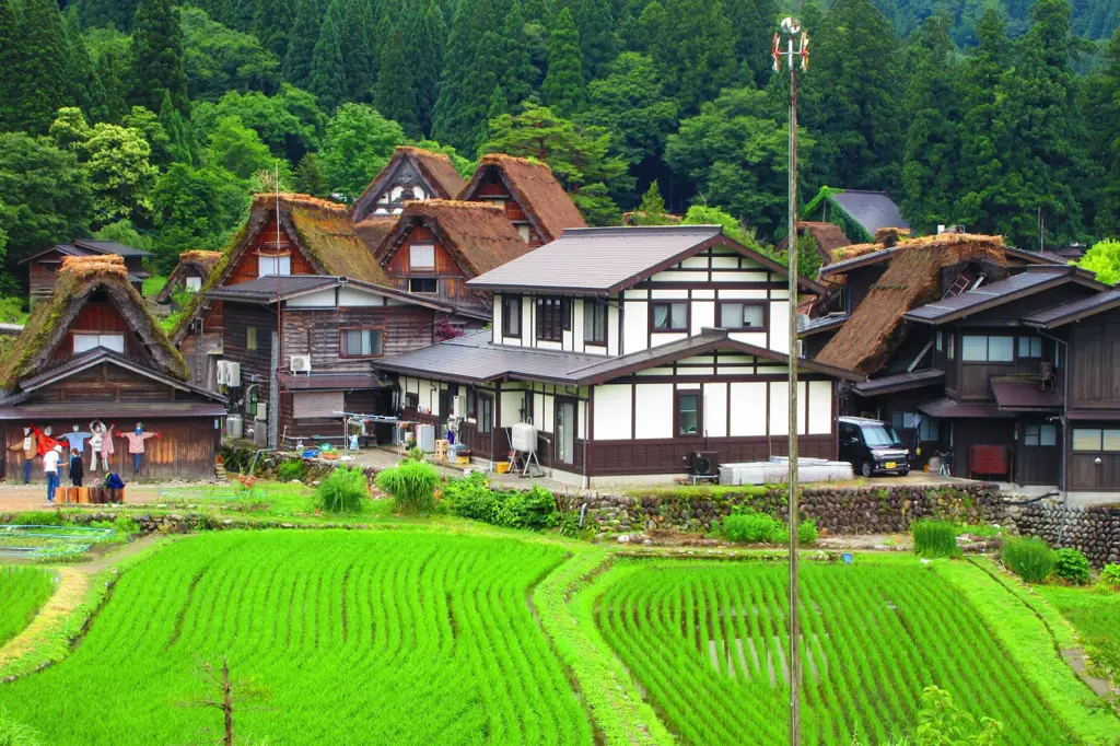 Pemandangan pedesaan Jepang yang indah