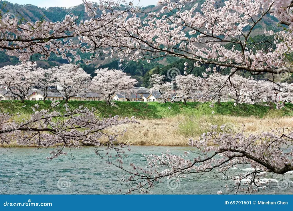 Pemandangan pedesaan Jepang yang indah dan menenangkan