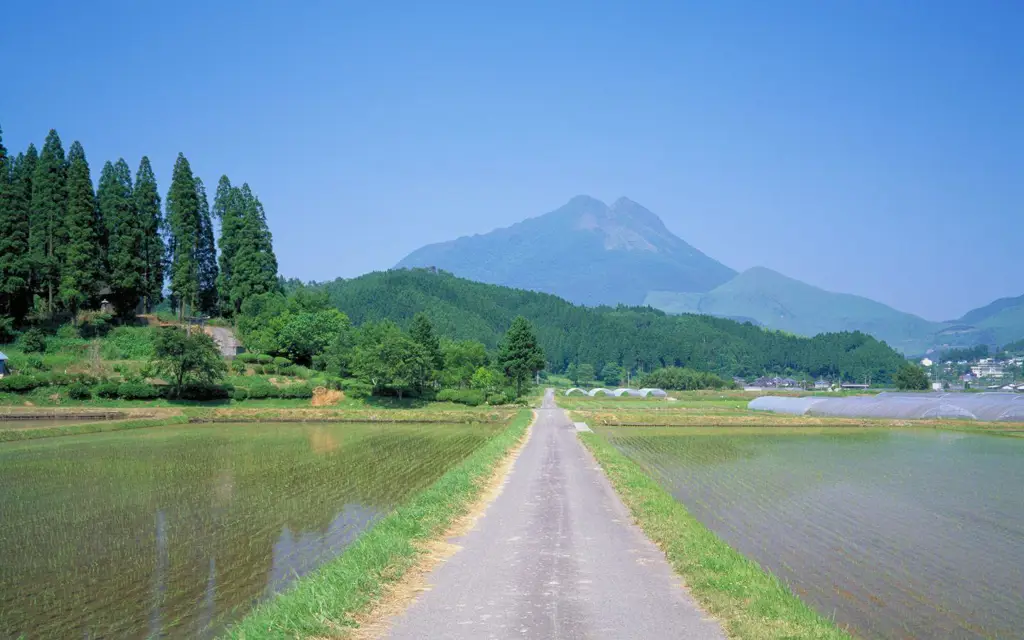 Pemandangan pedesaan Jepang yang indah