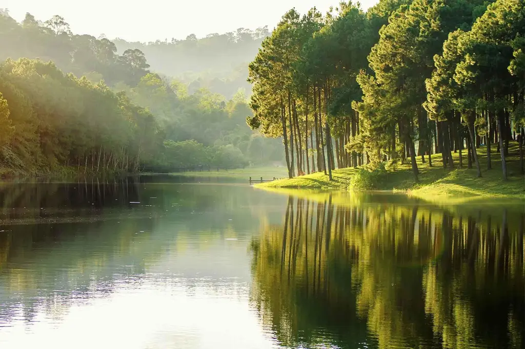 Pemandangan alam yang menenangkan